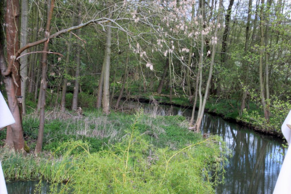 Pension Spreewaldhof Leipe Bagian luar foto
