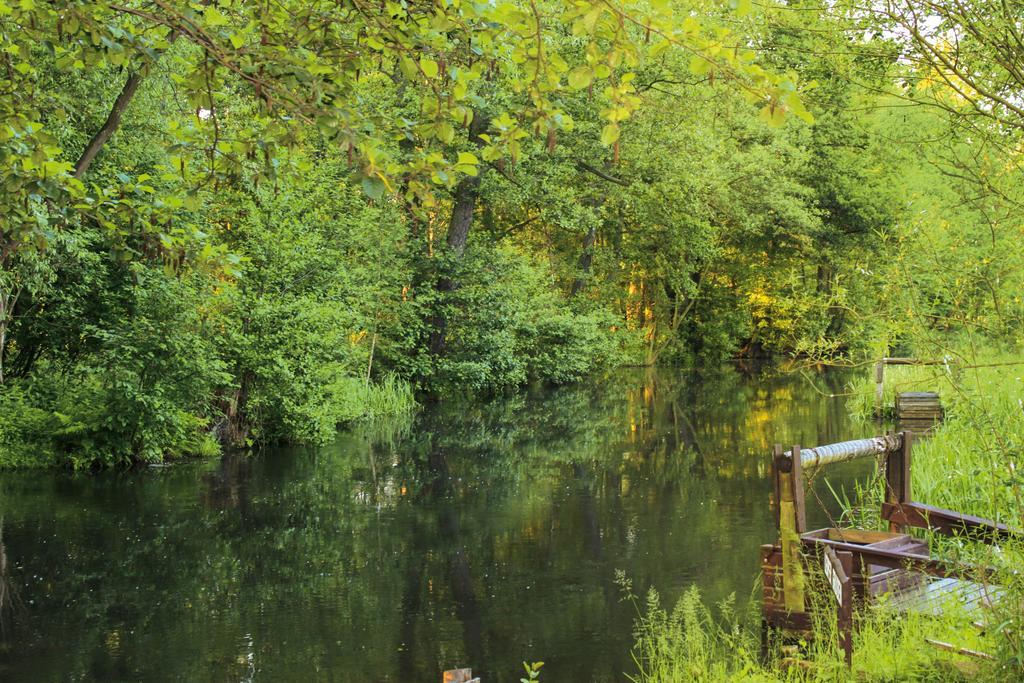 Pension Spreewaldhof Leipe Bagian luar foto